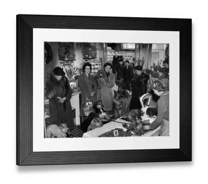 Framed Print : Dog Owners queue with ther pets at the local butcher for dog food which is on ration