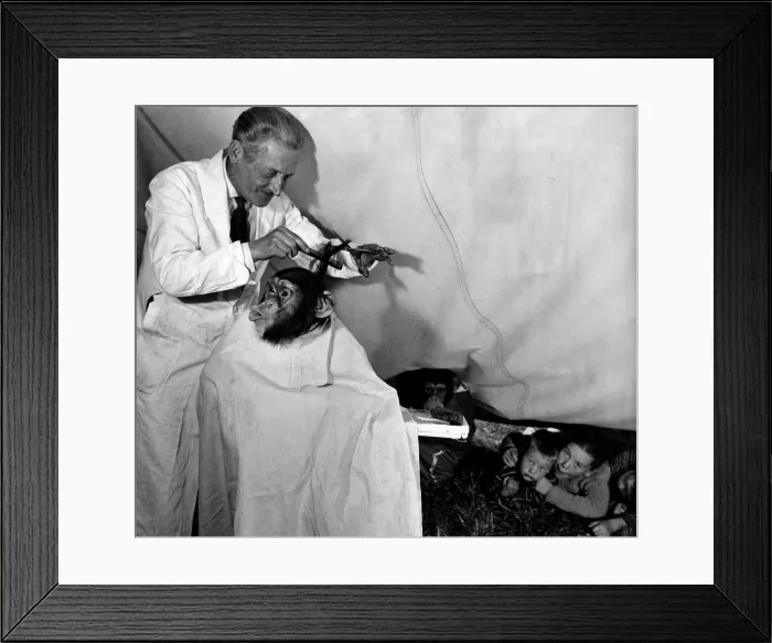 Framed Print : What are these nippers underneath the tent adjoining the big-top of Billy smart Framed Print : What are these nippers underneath the tent adjoining the big-top of Billy smart