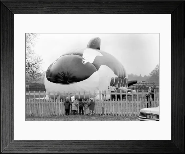 Framed Print : 100 Foot Balloon: Children look through the fence at Valentine