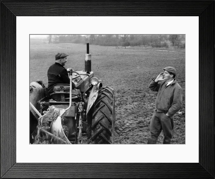 Framed Print : Agriculture. Farming Ploughing: 37 year old Mr. Giles Tedstone Framed Print : Agriculture. Farming Ploughing: 37 year old Mr. Giles Tedstone