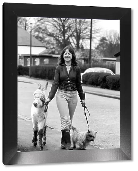 Jean Wooler walking 'Misty'the donkey. January 1975 75-00591-002