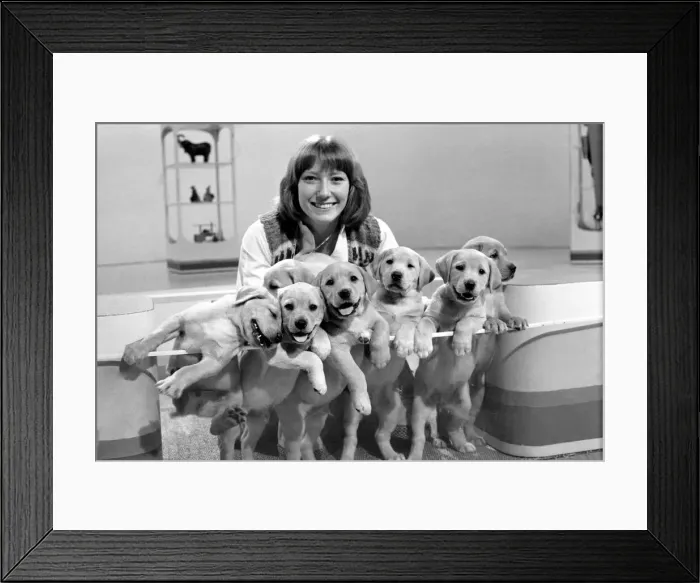 Framed Print : Blue Peter appeal for blind smashes through target. Lesley Judd Framed Print : Blue Peter appeal for blind smashes through target. Lesley Judd
