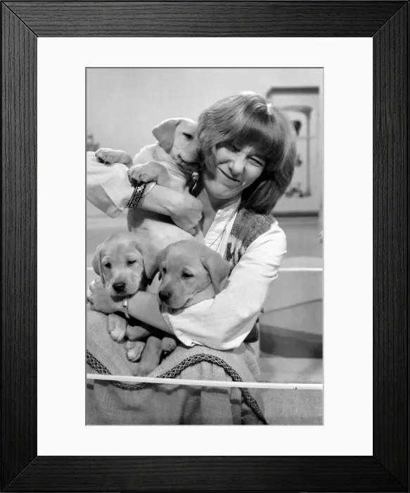 Framed Print : Blue Peter appeal for blind smashes through target. Lesley Judd Framed Print : Blue Peter appeal for blind smashes through target. Lesley Judd
