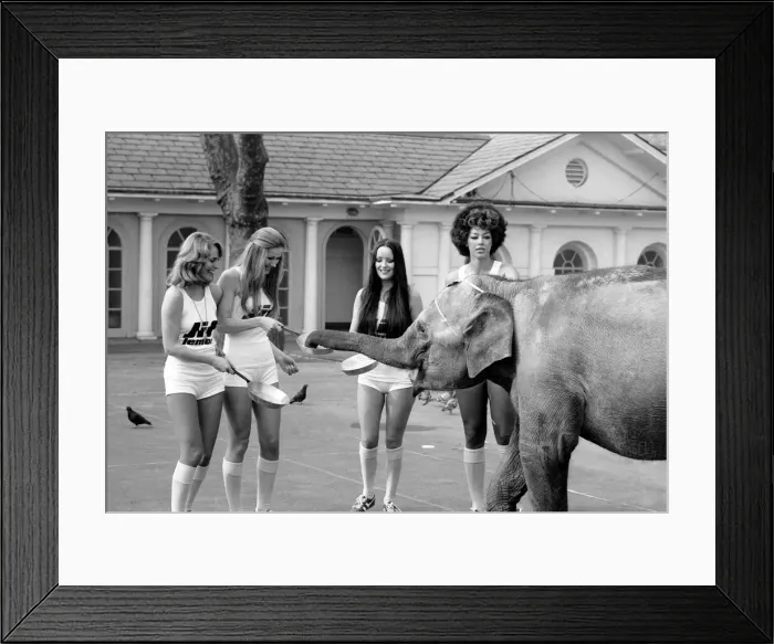Framed Print : Strange tales of London. Beauty Queens (who will be in the pancake race on Tuesday