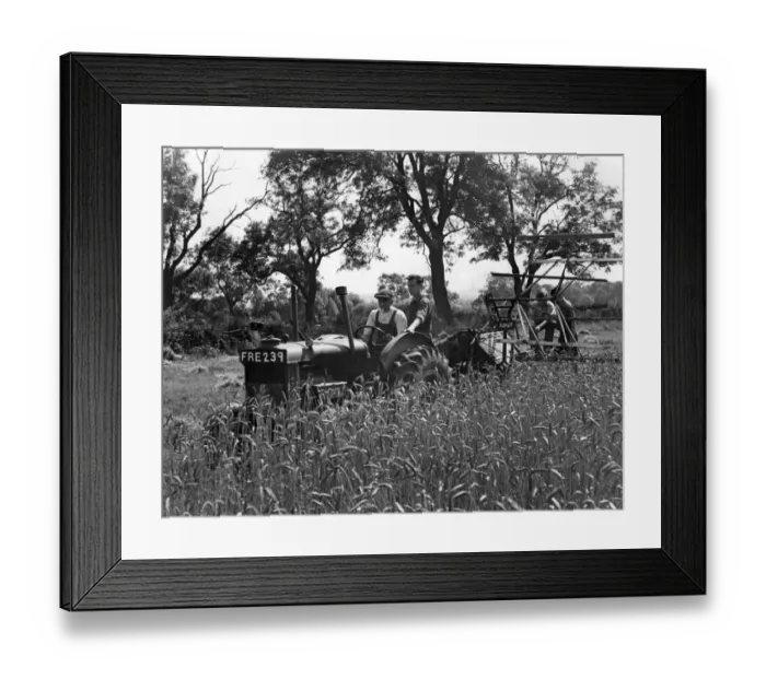Framed Print : The Y. M. C. A. British boys for British farms'scheme which started in 1932 has Framed Print : The Y. M. C. A. British boys for British farms'scheme which started in 1932 has