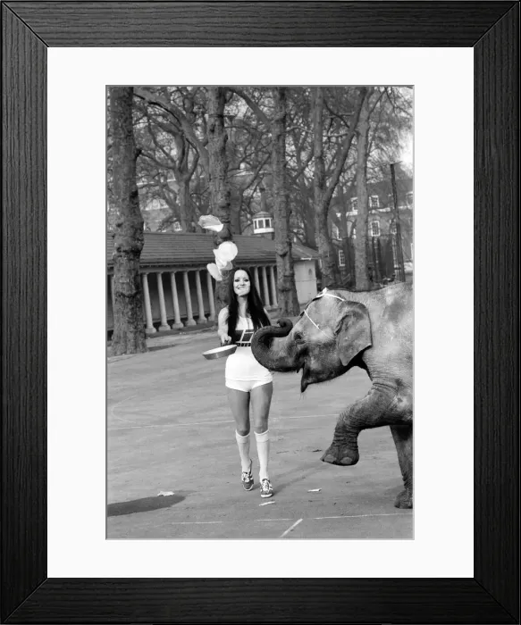 Framed Print : Strange tales of London. Beauty Queens (who will be in the pancake race on Tuesday Framed Print : Strange tales of London. Beauty Queens (who will be in the pancake race on Tuesday