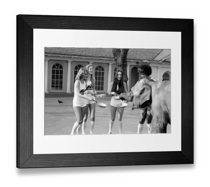 Framed Print : Strange tales of London. Beauty Queens (who will be in the pancake race on Tuesday