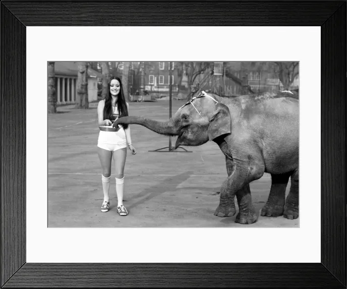 Framed Print : Strange tales of London. Beauty Queens (who will be in the pancake race on Tuesday Framed Print : Strange tales of London. Beauty Queens (who will be in the pancake race on Tuesday