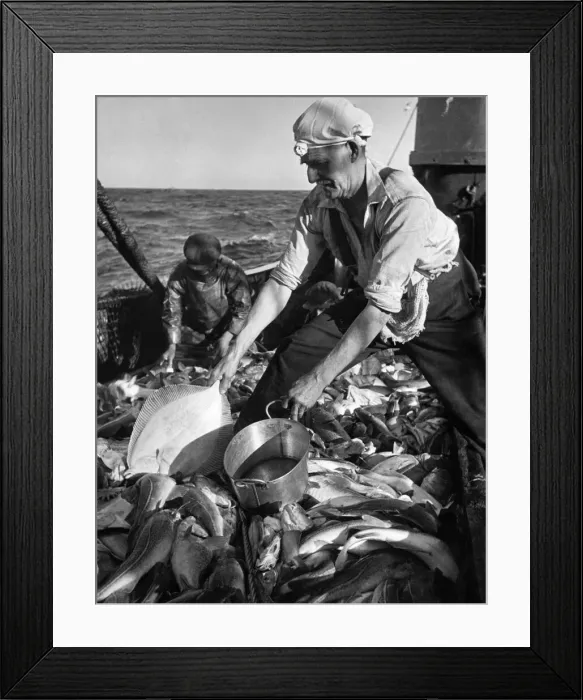 Framed Print : No queues here but more dangers Jack George ships cook to one of the East Coast Fishing Framed Print : No queues here but more dangers Jack George ships cook to one of the East Coast Fishing