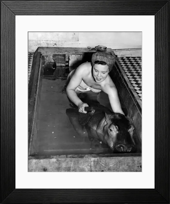 Framed Print : Ruby Bridges (18) gives the baby hippo her weekly brush up in Hilda Framed Print : Ruby Bridges (18) gives the baby hippo her weekly brush up in Hilda
