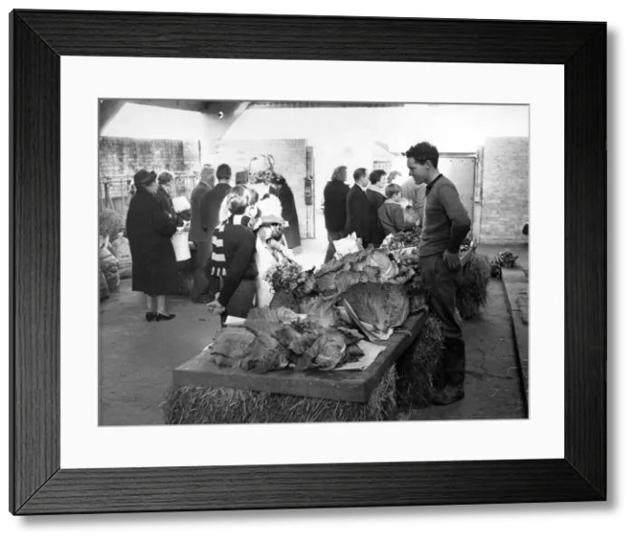 Framed Print : Farmers Market, Buxted, Nr. Uckfield, Sussex. Inside the market the produce is sold