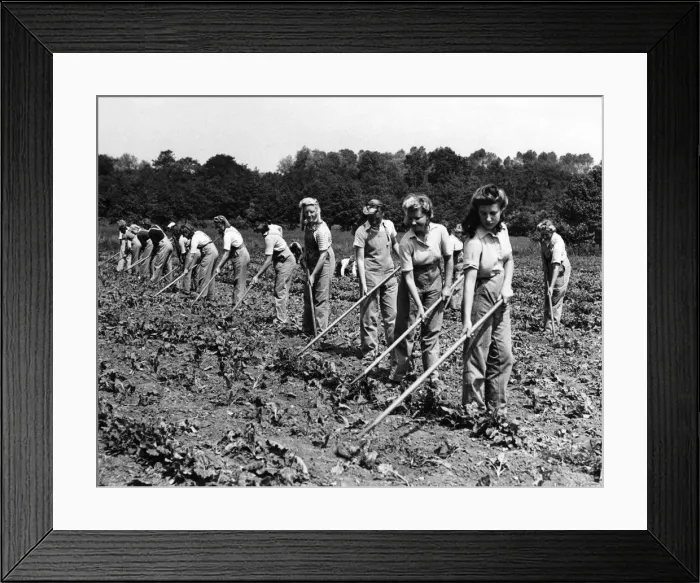 Framed Print : Womens Land Army, Circa 1941. Womens Land Army (WLA) Framed Print : Womens Land Army, Circa 1941. Womens Land Army (WLA)
