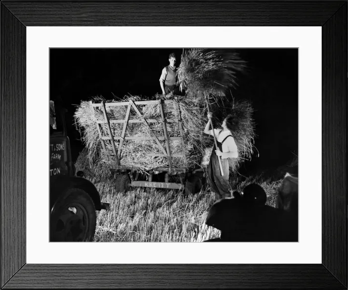 Framed Print : Farming: The harvest at Barn Farm, Hilton, Lichfield, being gathered in at night by light Framed Print : Farming: The harvest at Barn Farm, Hilton, Lichfield, being gathered in at night by light