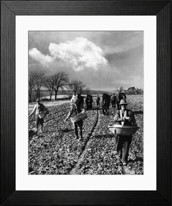 Framed Print : Farmers are 6 weeks behind time. Every hour counts, but the ground is not yet quite fit Framed Print : Farmers are 6 weeks behind time. Every hour counts, but the ground is not yet quite fit