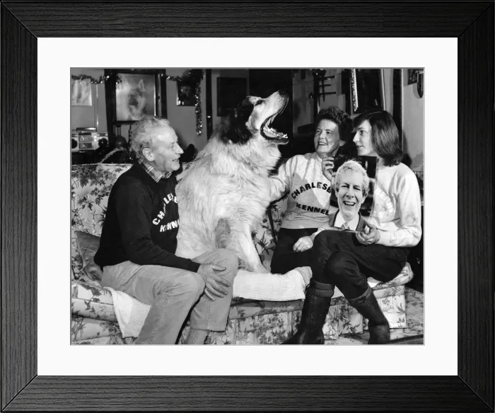 Framed Print : Look whos Coming for Christmas. Sid and Evelyn Ackland with Daughter Kim have Won Framed Print : Look whos Coming for Christmas. Sid and Evelyn Ackland with Daughter Kim have Won