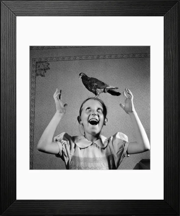 Framed Print : Mrs. Jessie Howe with the pigeon she restored to health after it had been attacked by a