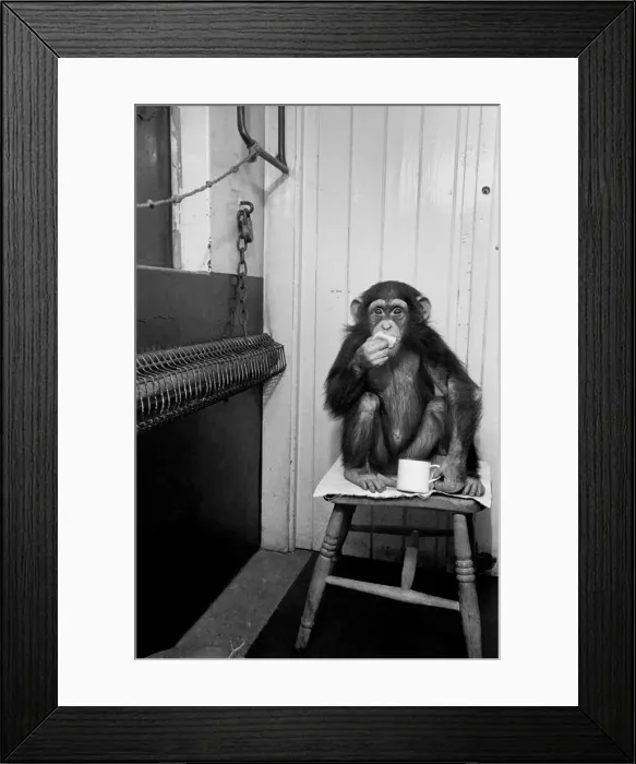 Framed Print : Fifi the 3 year old now knows how to hold her cup without dropping it sitting on a stool Framed Print : Fifi the 3 year old now knows how to hold her cup without dropping it sitting on a stool