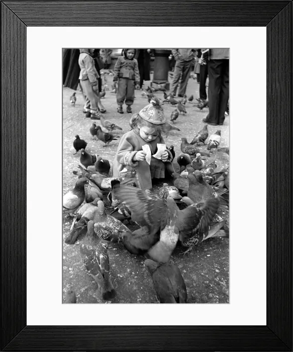 Framed Print : Jean Spriggney feeds Trafalgar square pigeons. March 1953. April 1953 D1248 Framed Print : Jean Spriggney feeds Trafalgar square pigeons. March 1953. April 1953 D1248