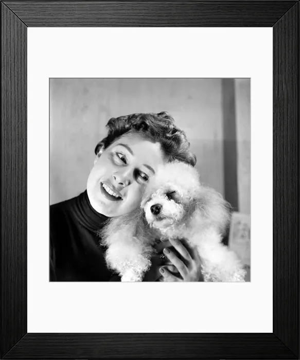 Framed Print : Bath night for Tommy'the miniature poodle is something of an endurance test Framed Print : Bath night for Tommy'the miniature poodle is something of an endurance test