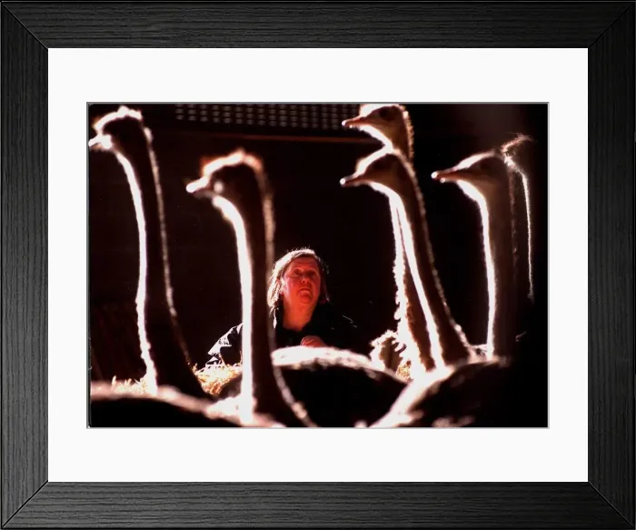 Framed Print : Clarissa Dickson-Wright with some of her ostriches