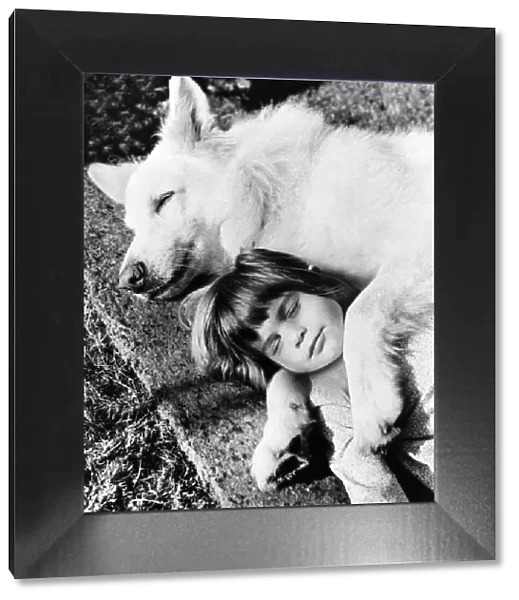 Animals - Dogs - Alsatians : Friendship. January 1976 P000595