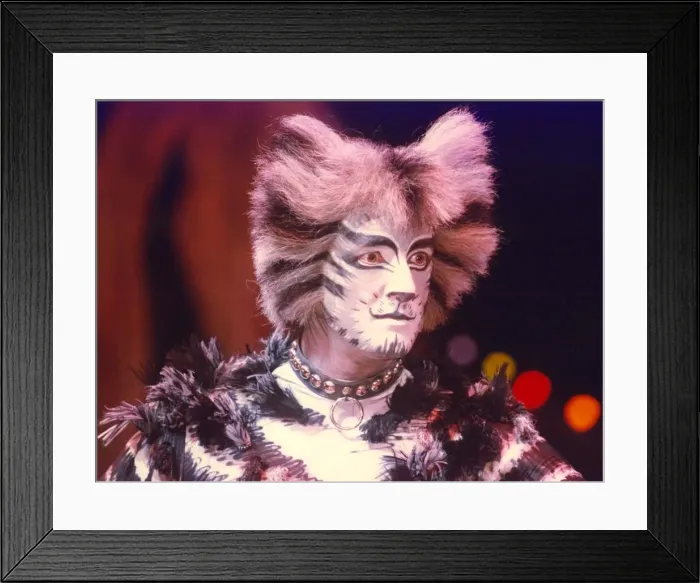 Framed Print : Robin Cousins in the musical Cats Framed Print : Robin Cousins in the musical Cats