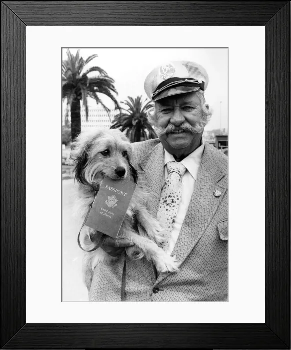 Framed Print : Animals - Dogs humour. May 1979 P000612 Framed Print : Animals - Dogs humour. May 1979 P000612