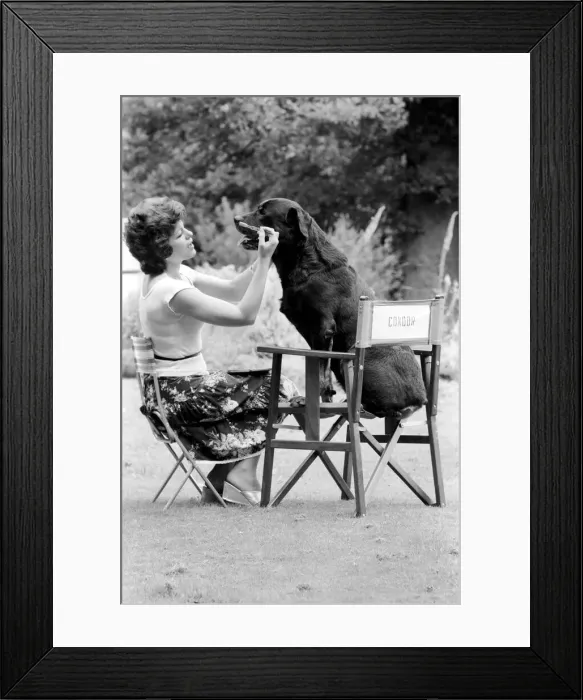 Framed Print : Entertainment: Film: The set for the new thriller movie The Appointment Framed Print : Entertainment: Film: The set for the new thriller movie The Appointment