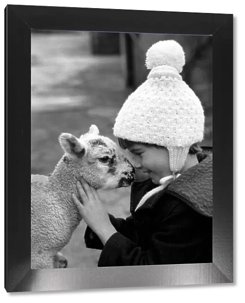 Children  /  Animals  /  Cute. Lamb and Child. December 1976 76-07533