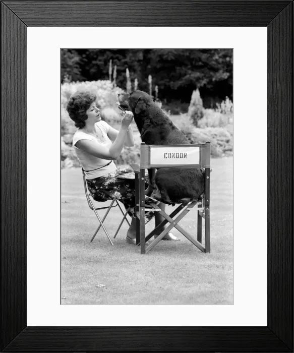 Framed Print : Entertainment: Film: The set for the new thriller movie The Appointment