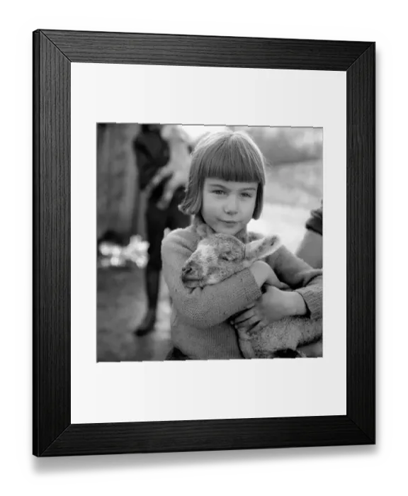 Framed Print : Animal / cute / child. Little girl and lambs. December 1975 75-06826 Framed Print : Animal / cute / child. Little girl and lambs. December 1975 75-06826