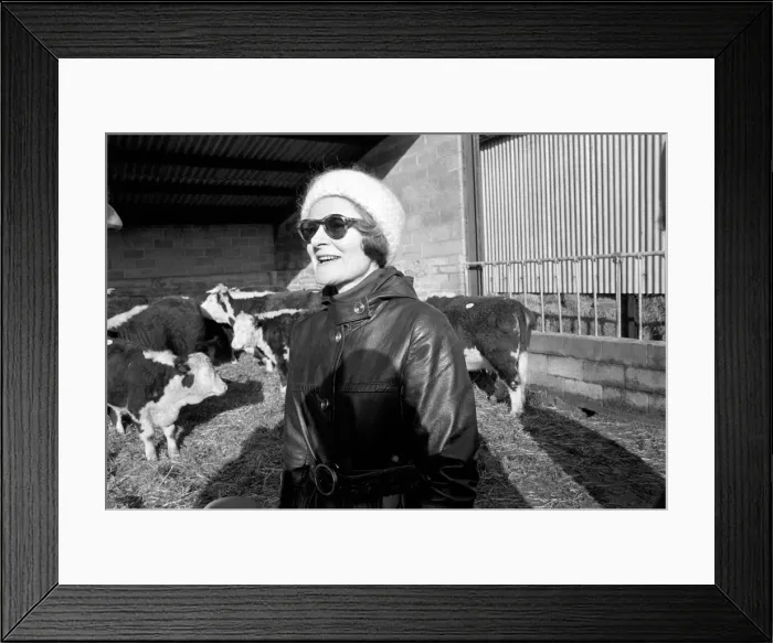 Framed Print : Lord Avon, former British Prime Minister Anthony Eden, at the sale of cattle at Manor