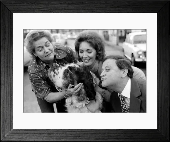 Framed Print : Shane the St. Bernard dog with Derek Roy, Britains biggest dog goes into showbiz Framed Print : Shane the St. Bernard dog with Derek Roy, Britains biggest dog goes into showbiz