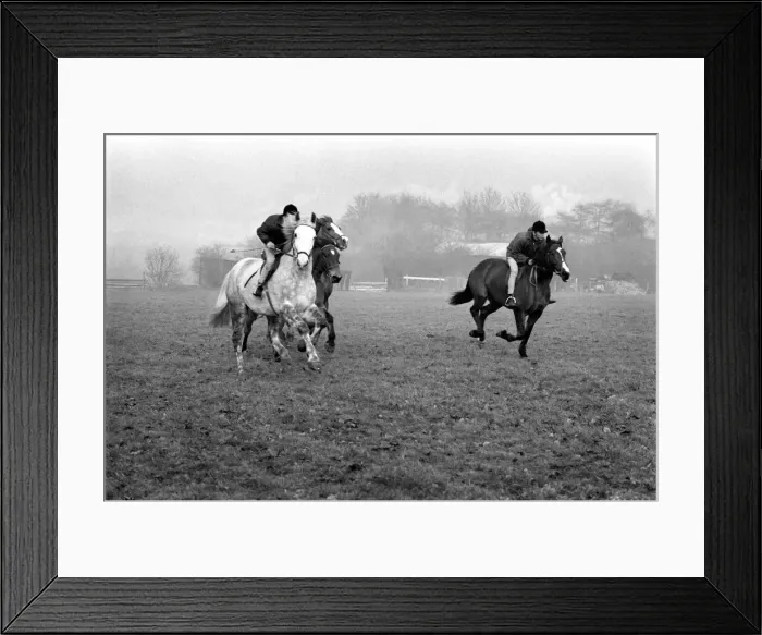 Framed Print : School for training jockey. The apprentices training centre for jockeys is at Kenilworth Framed Print : School for training jockey. The apprentices training centre for jockeys is at Kenilworth