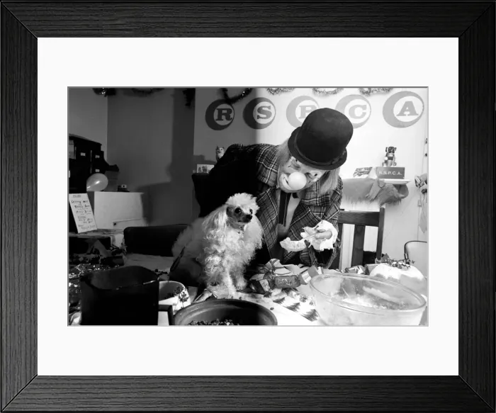 Framed Print : Dogs Christmas Party. Hobo plays host to the doggy guests enjoying a menu of Framed Print : Dogs Christmas Party. Hobo plays host to the doggy guests enjoying a menu of