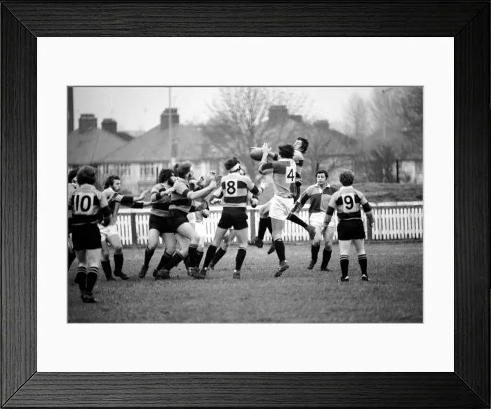 Framed Print : Rugby Union Matches: Harlequins (18) vs. Newport (6). December 1974 74-7565-010 Framed Print : Rugby Union Matches: Harlequins (18) vs. Newport (6). December 1974 74-7565-010