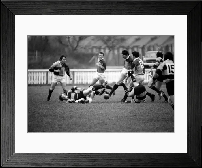 Framed Print : Rugby Union Matches: Harlequins (18) vs. Newport (6). December 1974 74-7565-008 Framed Print : Rugby Union Matches: Harlequins (18) vs. Newport (6). December 1974 74-7565-008
