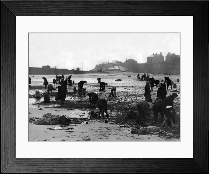 Framed Print : A busy scene on the beach at Roker, where large quantities of sea coal have been washed Framed Print : A busy scene on the beach at Roker, where large quantities of sea coal have been washed