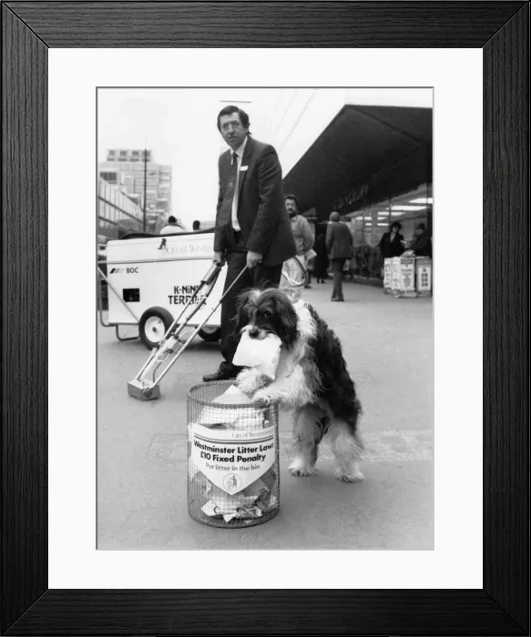 Framed Print : One man and his dog. Malcolm Walden and Pippin clean up the streets Framed Print : One man and his dog. Malcolm Walden and Pippin clean up the streets