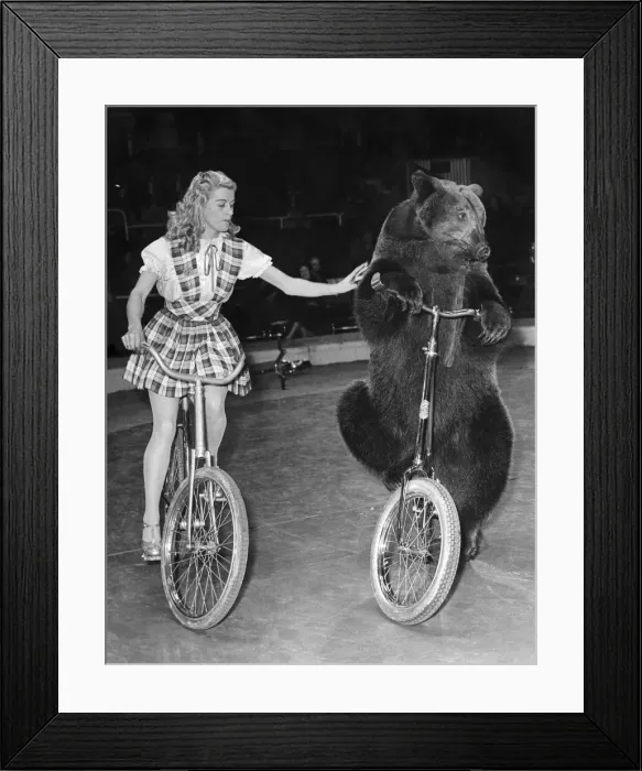 Framed Print : Dress Rehearsal of Jack Hyltons circus at Earls Court, London Framed Print : Dress Rehearsal of Jack Hyltons circus at Earls Court, London