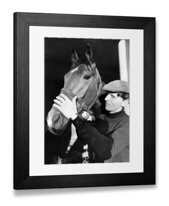 Framed Print : Racehorse Vaguely Noble photographed at his stable in Newmarket, today Framed Print : Racehorse Vaguely Noble photographed at his stable in Newmarket, today