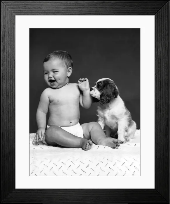 Framed Print : Lick Ear, Young Man! When it comes to lending a friendly ear Framed Print : Lick Ear, Young Man! When it comes to lending a friendly ear