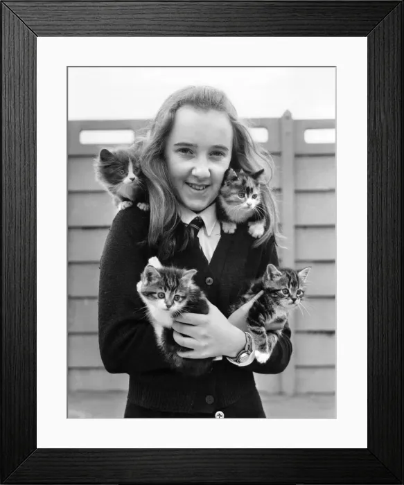 Framed Print : Jeanette Gibbons (14) of Court Hey Drive, Liverpool, with four kittens she rescued in her Framed Print : Jeanette Gibbons (14) of Court Hey Drive, Liverpool, with four kittens she rescued in her
