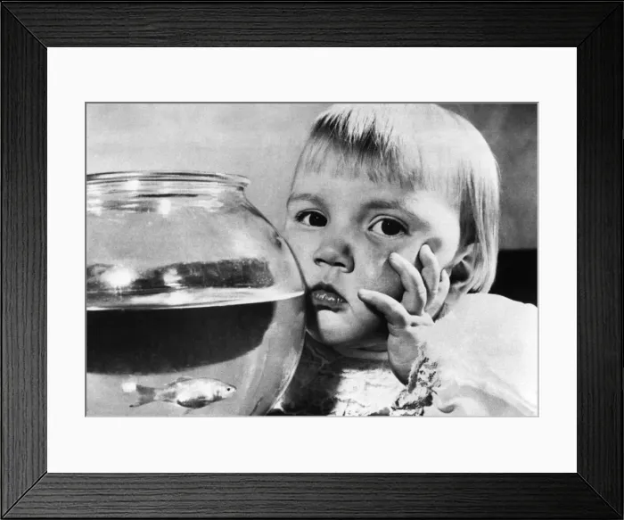 Framed Print : Both well. Elizabeth and Lucky, the goldfish she swallowed. November 1967 P006184 Framed Print : Both well. Elizabeth and Lucky, the goldfish she swallowed. November 1967 P006184