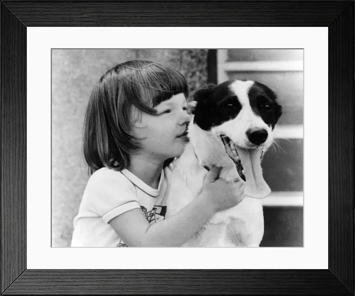 Framed Print : Animals Dogs Clever. Thanks, Pal: Its end of the game for today Framed Print : Animals Dogs Clever. Thanks, Pal: Its end of the game for today