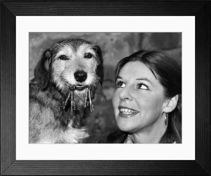 Framed Print : Not Just A Pretty face. applies as much to superdog Savage as it does to his