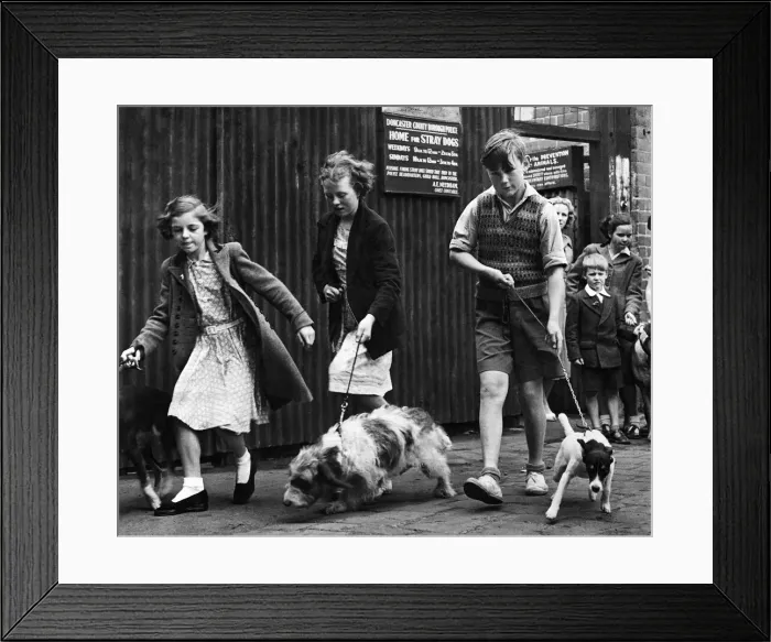 Framed Print : Three children walk their pets, or rather are tugged along the pavement by their eager