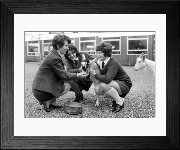 Framed Print : Betty the goat goes to school: Sallie and Jean with help of teacher Miss Angela Framed Print : Betty the goat goes to school: Sallie and Jean with help of teacher Miss Angela
