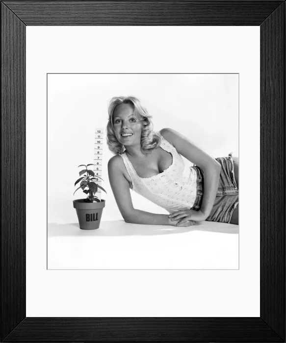 Framed Print : Unusual: Humour: Model Angela Jay and plant. March 1975 75-01424-010 Framed Print : Unusual: Humour: Model Angela Jay and plant. March 1975 75-01424-010