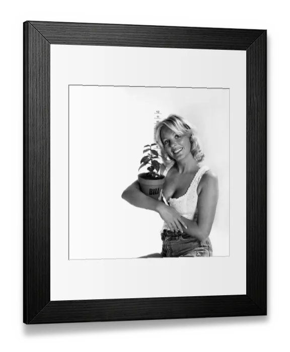 Framed Print : Unusual: Humour: Model Angela Jay and plant. March 1975 75-01424-006 Framed Print : Unusual: Humour: Model Angela Jay and plant. March 1975 75-01424-006